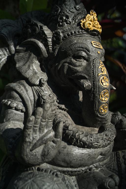 Villa Daksina Ubud Camera foto